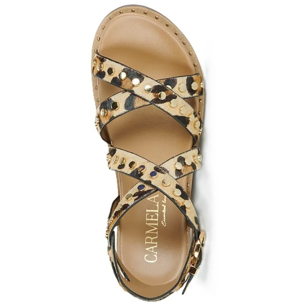 Carmela Gladiator Sandal 162393-LEOPARD
