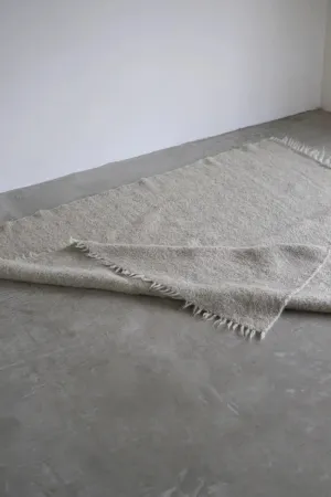 Lizhnyk Rug Grey