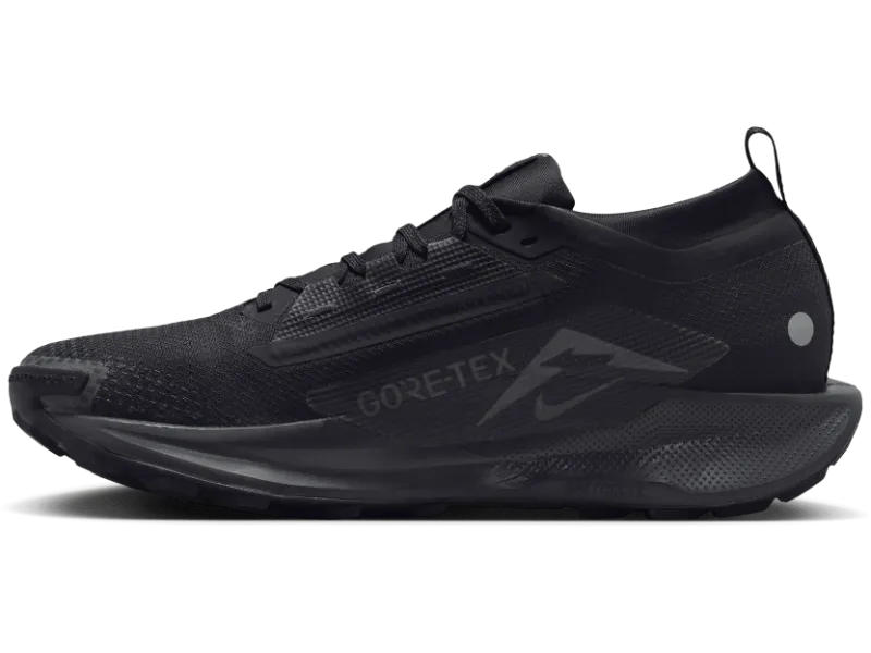 Men's Nike Pegasus Trail 5 GORE-TEX -Trail Runner