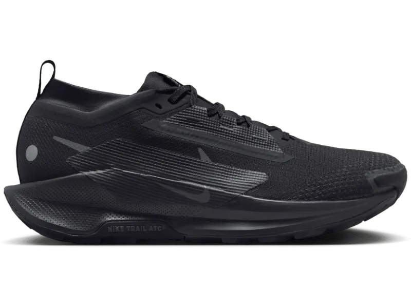 Men's Nike Pegasus Trail 5 GORE-TEX -Trail Runner