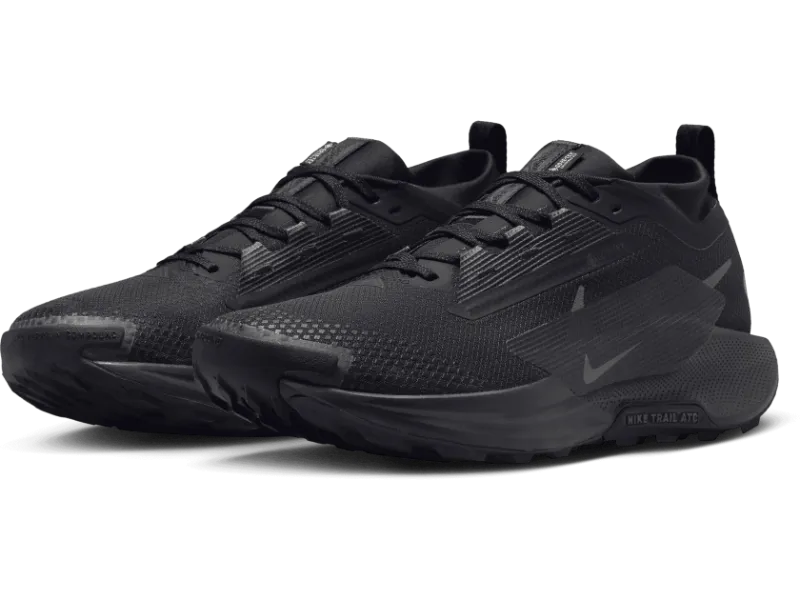 Men's Nike Pegasus Trail 5 GORE-TEX -Trail Runner