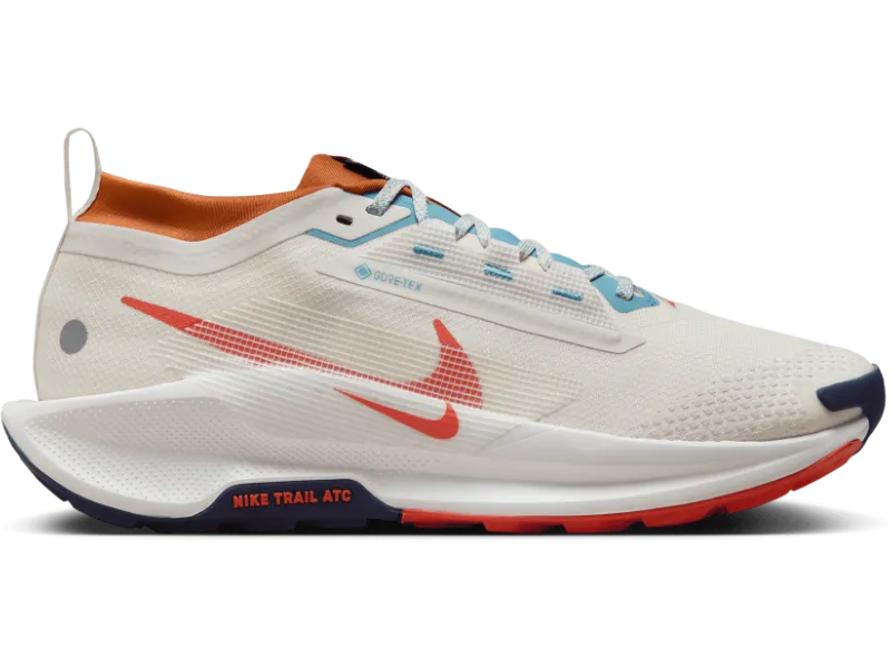 Men's Nike Pegasus Trail 5 GORE-TEX -Trail Runner