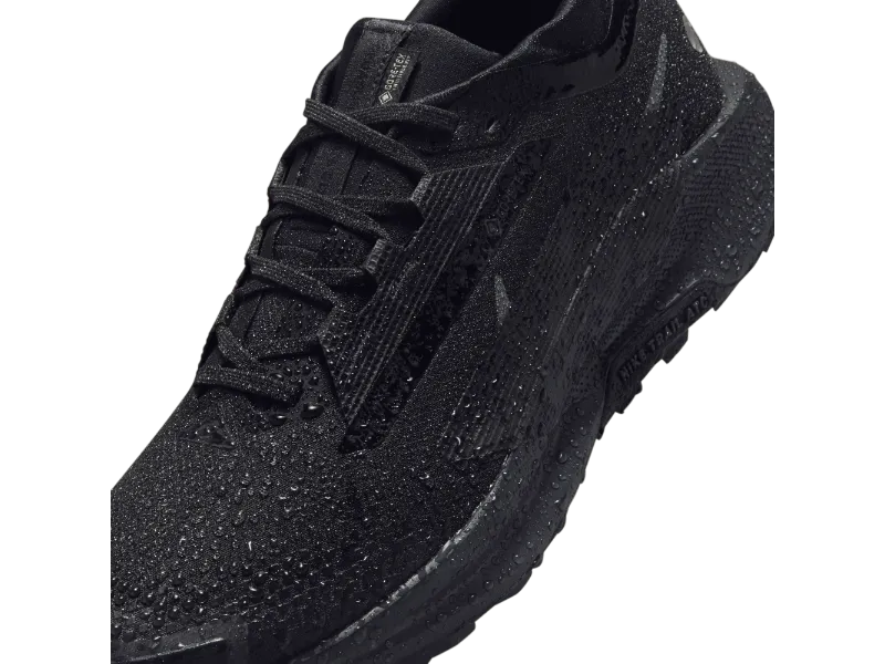 Men's Nike Pegasus Trail 5 GORE-TEX -Trail Runner
