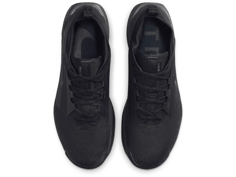 Men's Nike Pegasus Trail 5 GORE-TEX -Trail Runner