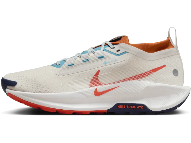Men's Nike Pegasus Trail 5 GORE-TEX -Trail Runner