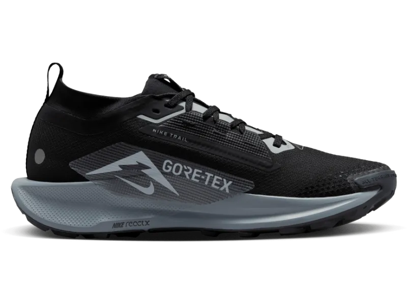 Men's Nike Pegasus Trail 5 GORE-TEX -Trail Runner