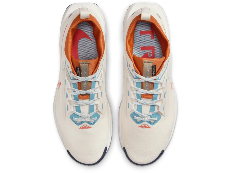 Men's Nike Pegasus Trail 5 GORE-TEX -Trail Runner
