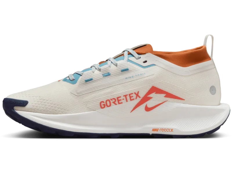 Men's Nike Pegasus Trail 5 GORE-TEX -Trail Runner