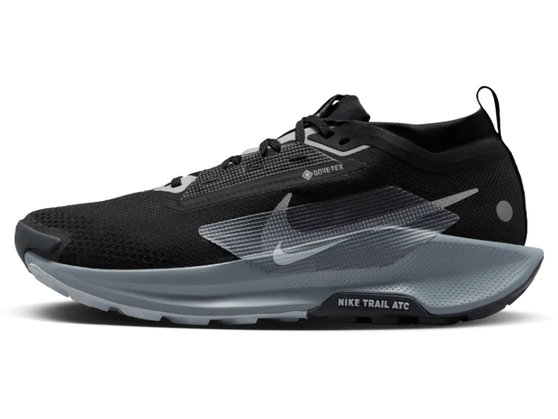 Men's Nike Pegasus Trail 5 GORE-TEX -Trail Runner