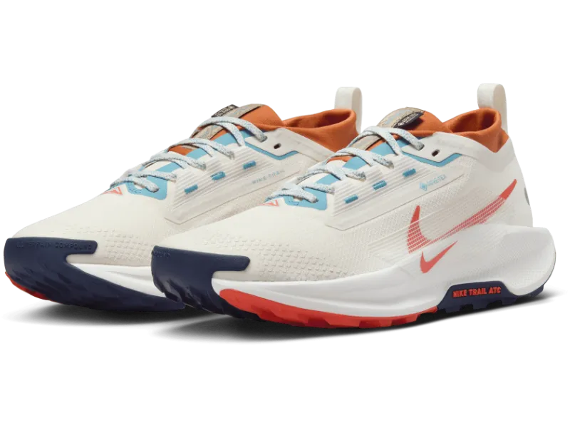 Men's Nike Pegasus Trail 5 GORE-TEX -Trail Runner