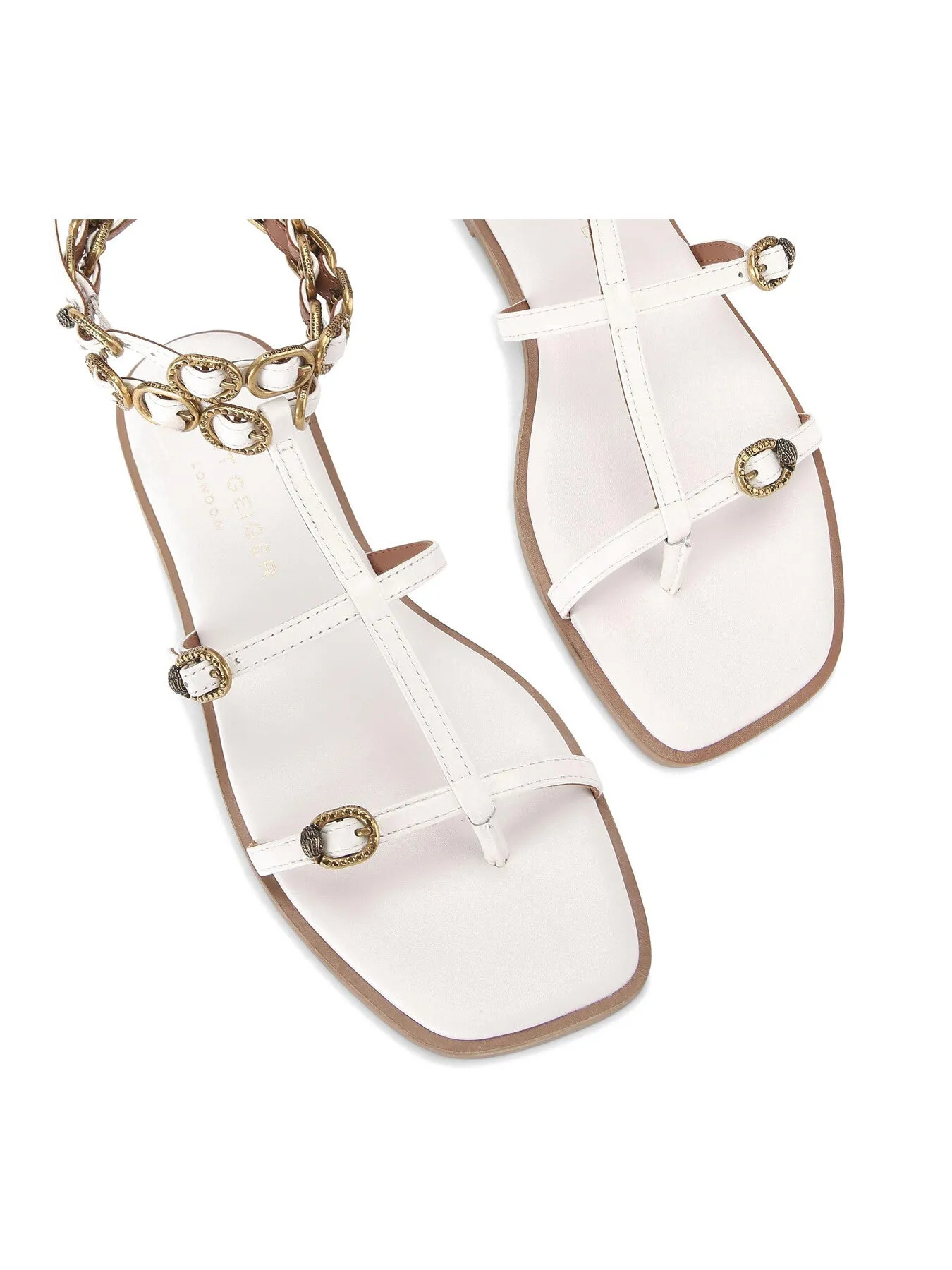 REGENT FLAT GLADIATOR
