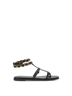 REGENT FLAT GLADIATOR