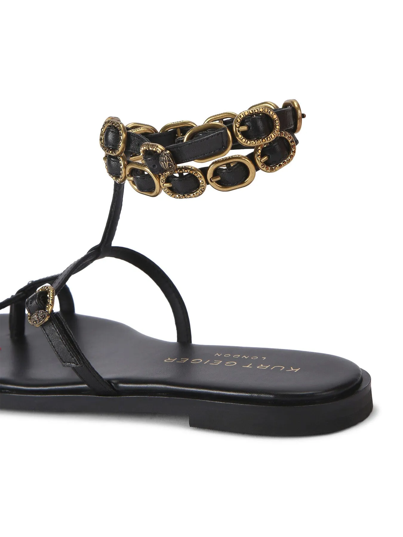 REGENT FLAT GLADIATOR