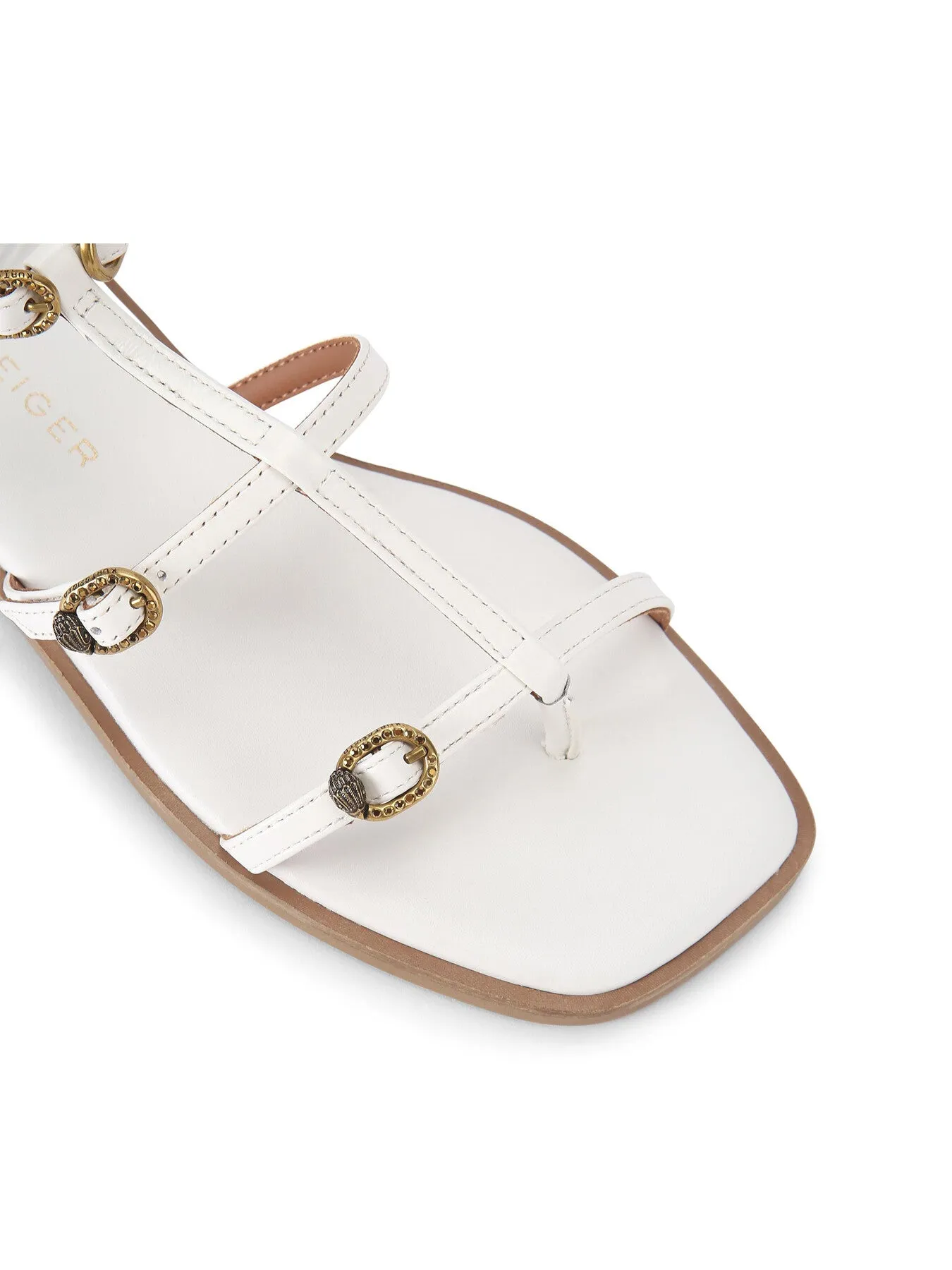 REGENT FLAT GLADIATOR