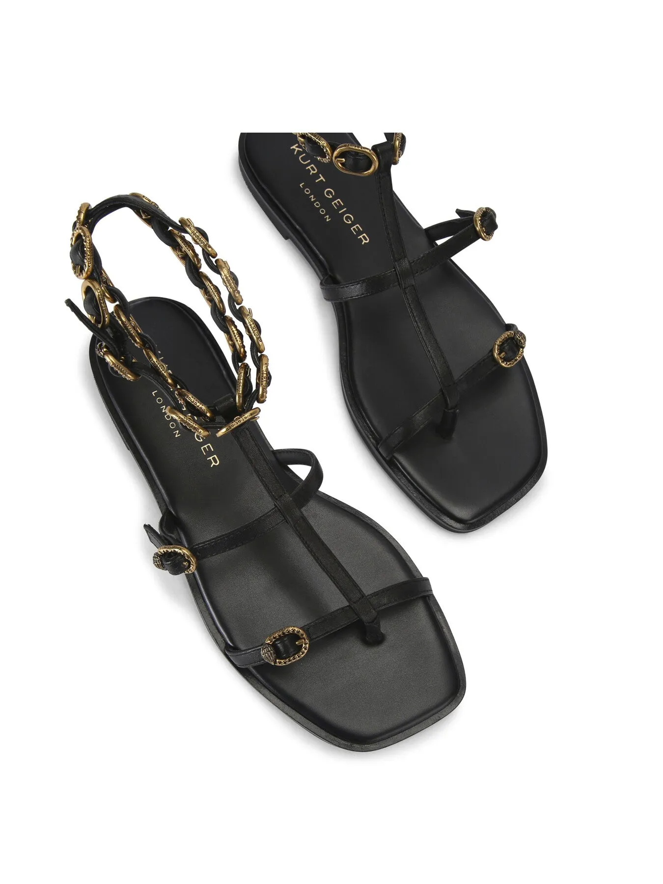 REGENT FLAT GLADIATOR