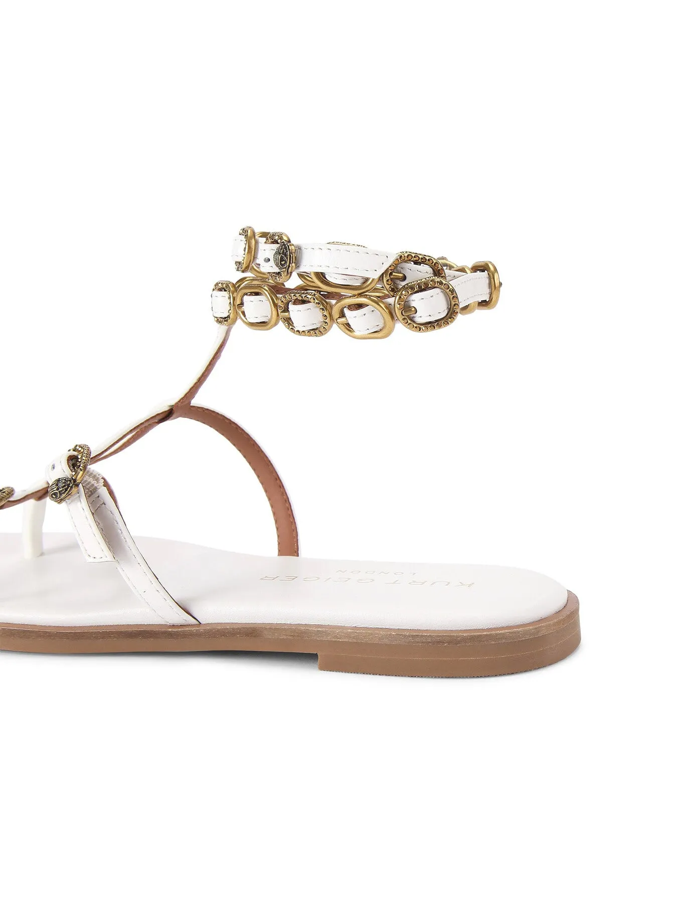 REGENT FLAT GLADIATOR
