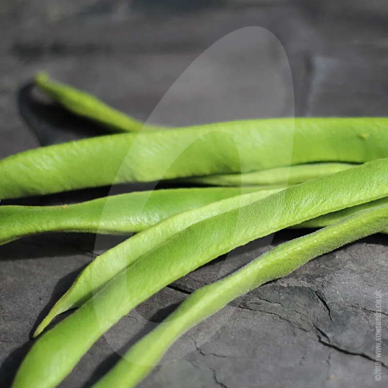 Runner Bean Firestorm Seeds