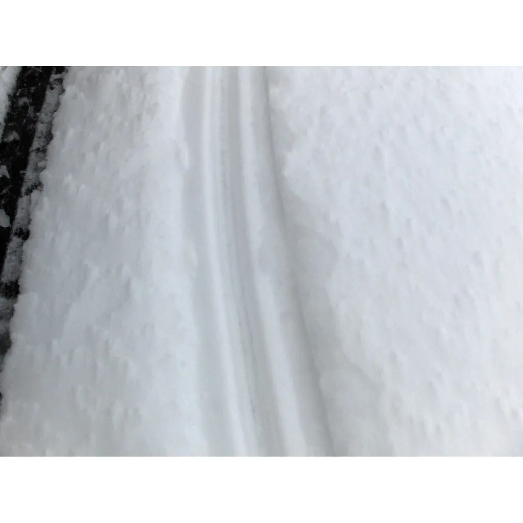 SnowTracker Semi-Aggressive Runners | Polaris
