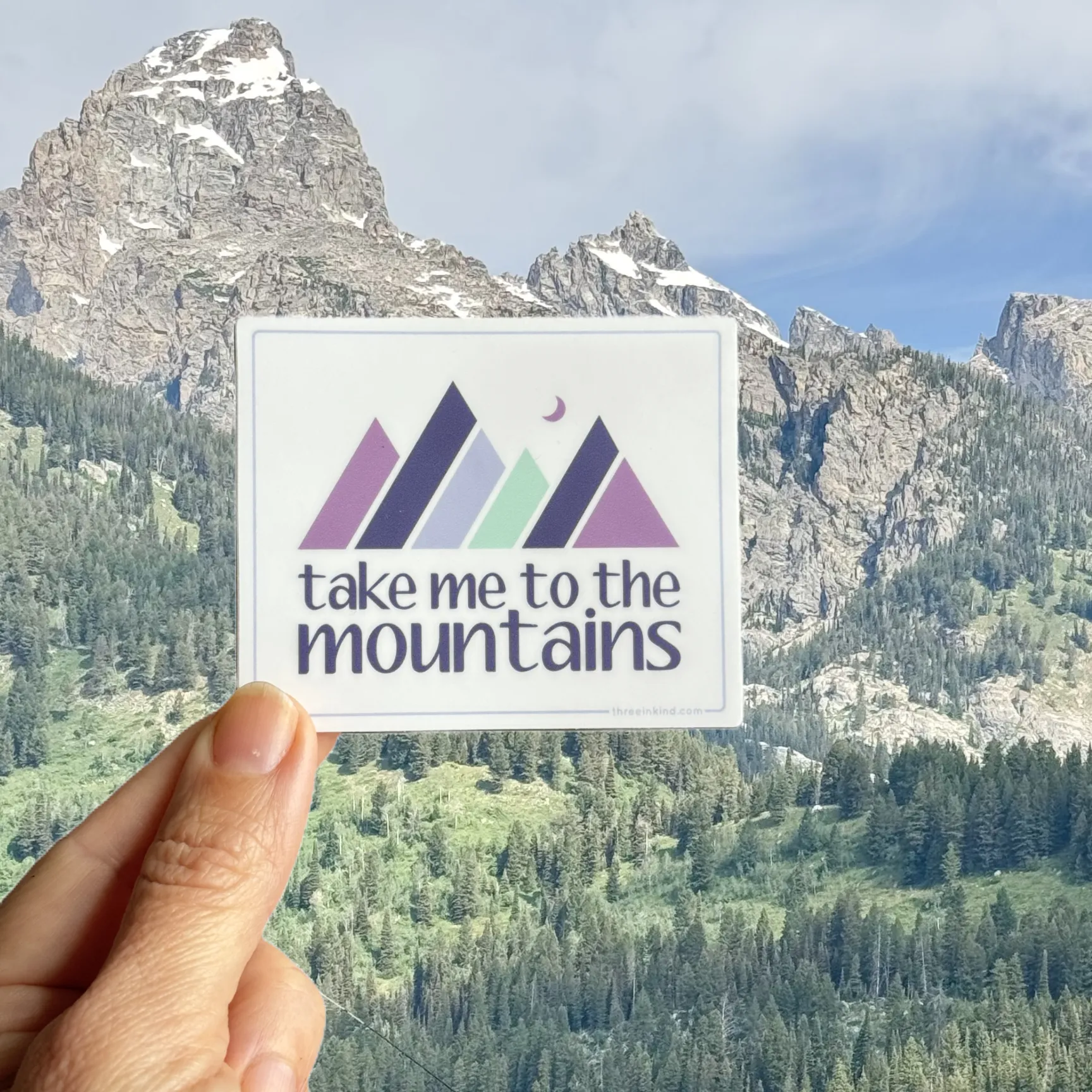 Take Me to the Mountains Color Block 3” Sticker / Decal