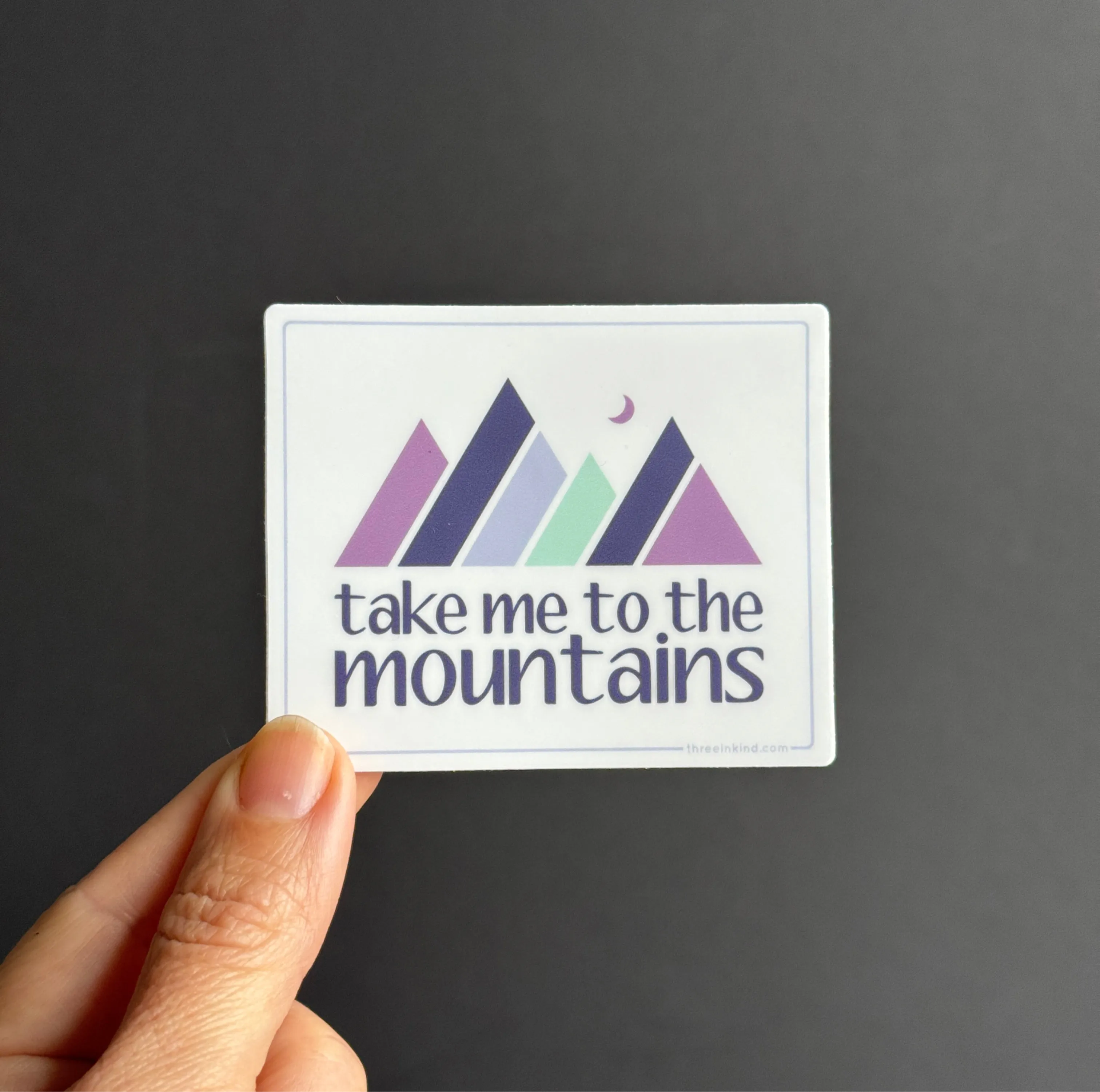 Take Me to the Mountains Color Block 3” Sticker / Decal