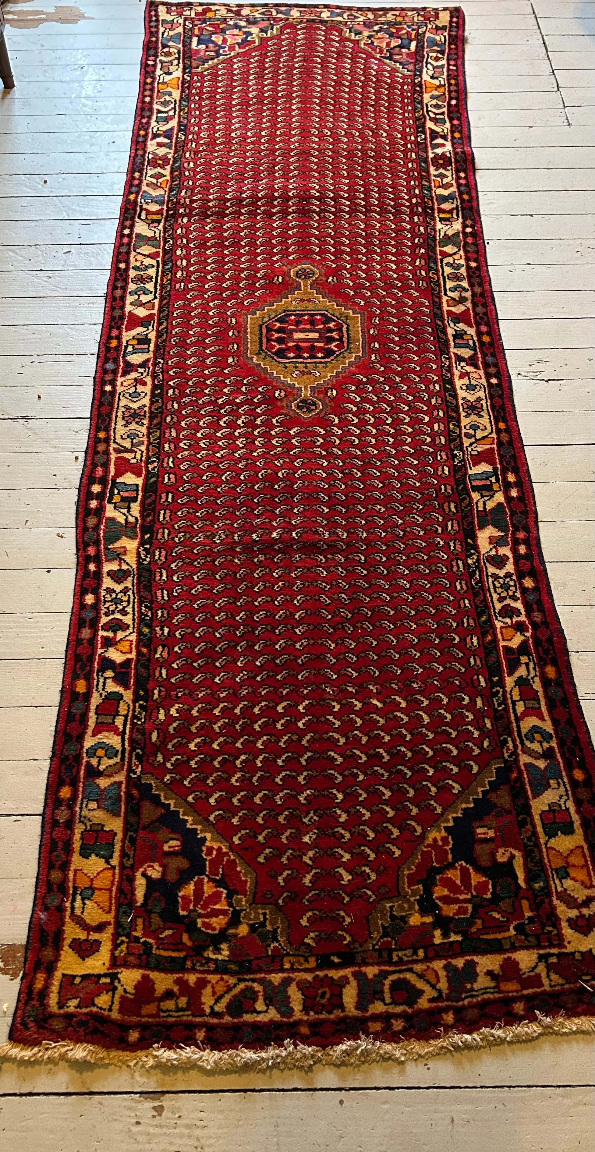 Yasmina 2’9x8’10